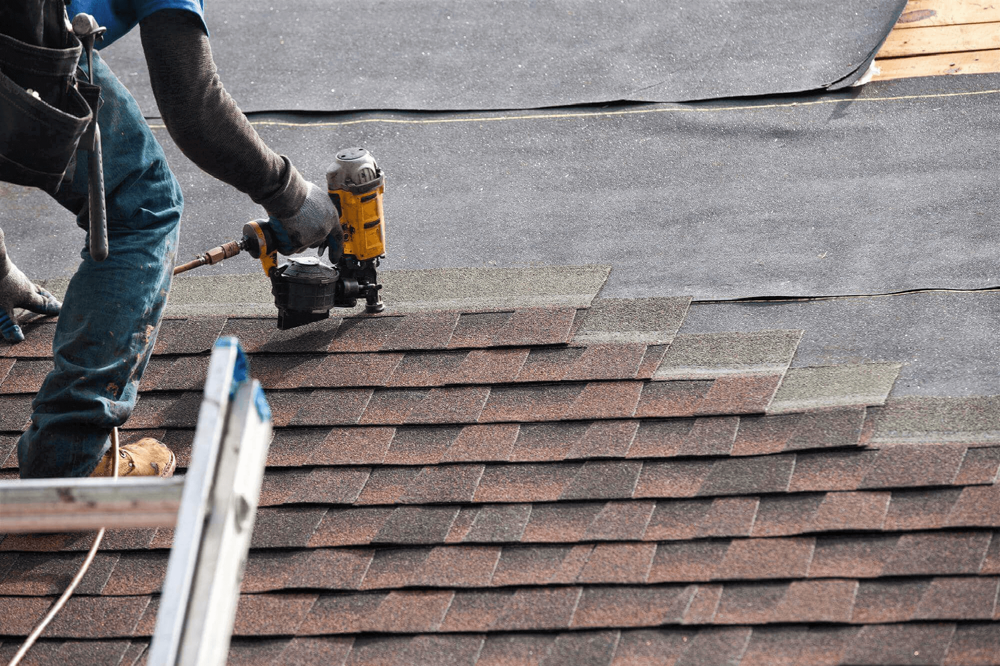 amateur install asphalt shingles