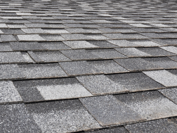 Shingles