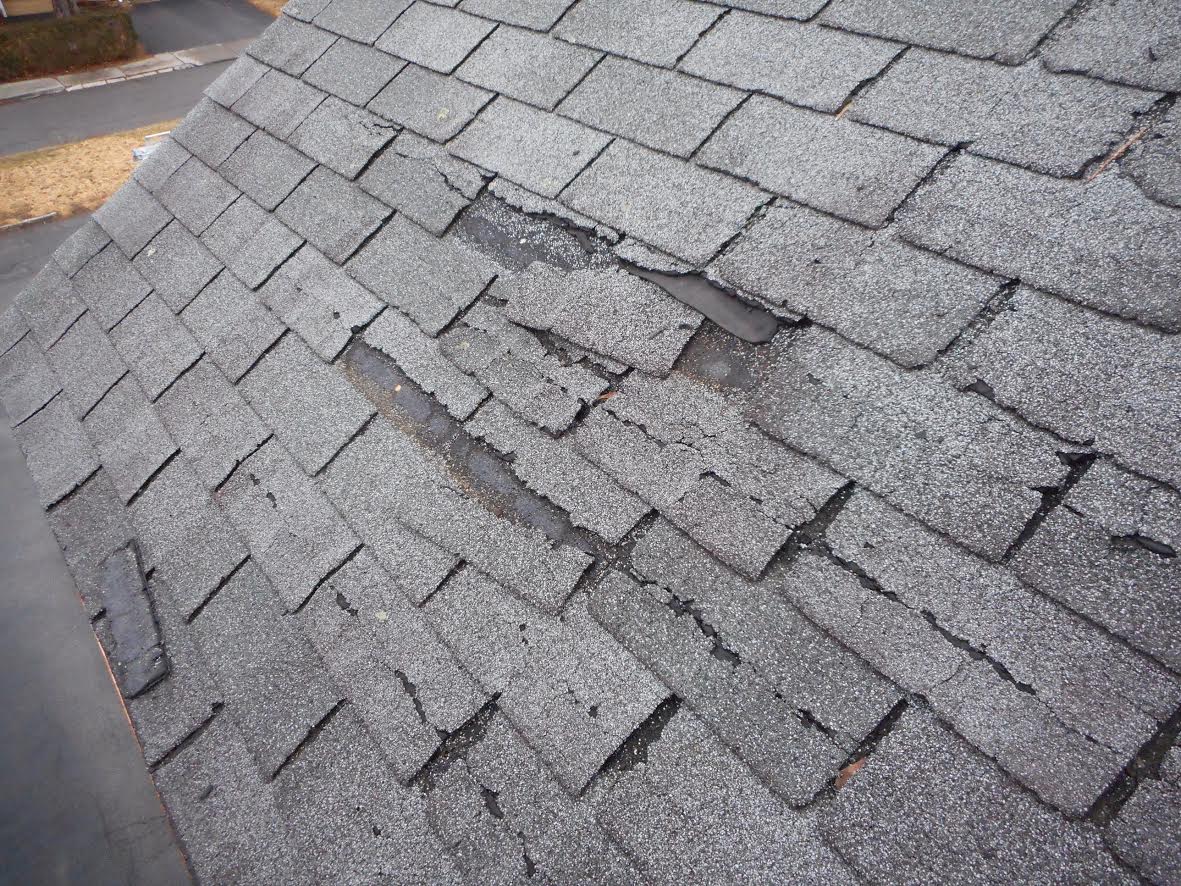 damaged shingle insurance coverage in green bay