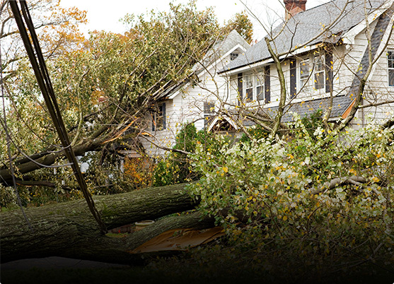 emergency roof repair for falling debris in green bay