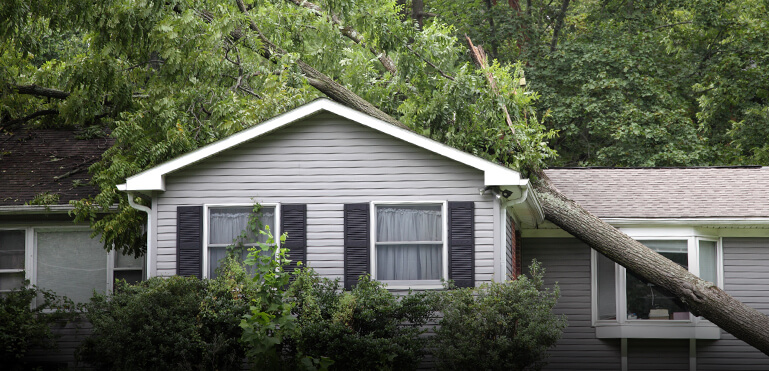 Green Bay storm damage roof repair